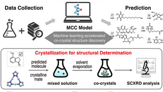 246. Machine Learning Accelerates Crystallization for Structure Determination