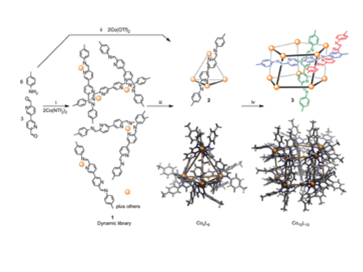 52. Anion-induced reconstitution of a self-assembling system to express a chloride-binding Co10L15 pentagonal prism