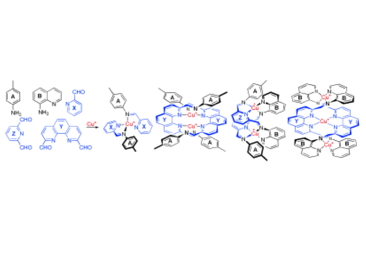 26. Self-assembly in systems of subcomponents: simple rules, subtle consequences