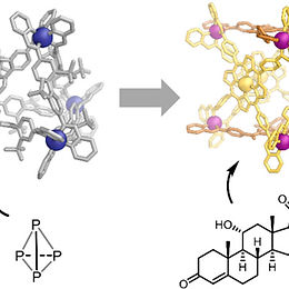 193. Beyond Platonic: How to Build Metal–Organic Polyhedra Capable of Binding Low-Symmetry, Information-Rich Molecular Cargoes