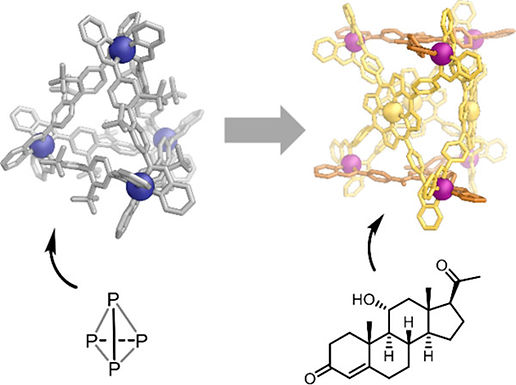 193. Beyond Platonic: How to Build Metal–Organic Polyhedra Capable of Binding Low-Symmetry, Information-Rich Molecular Cargoes