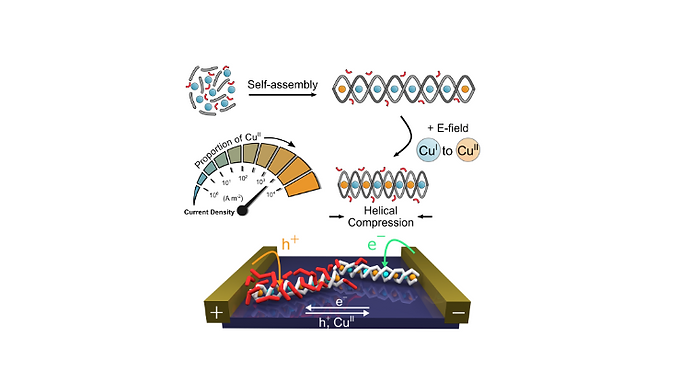 179. Electrically-induced mixed valence increases the conductivity of copper helical metallopolymers