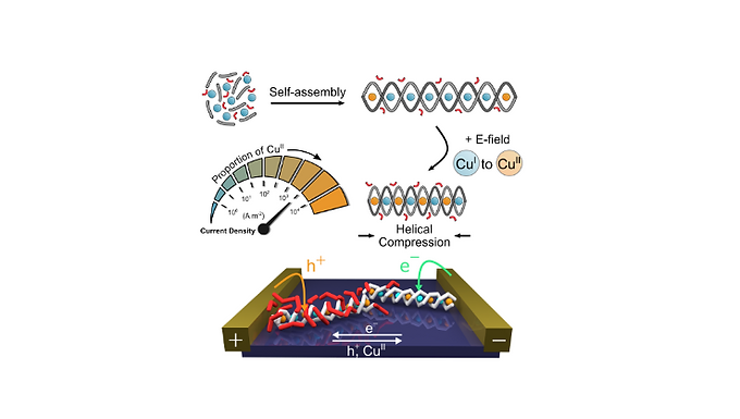 179. Electrically-induced mixed valence increases the conductivity of copper helical metallopolymers 