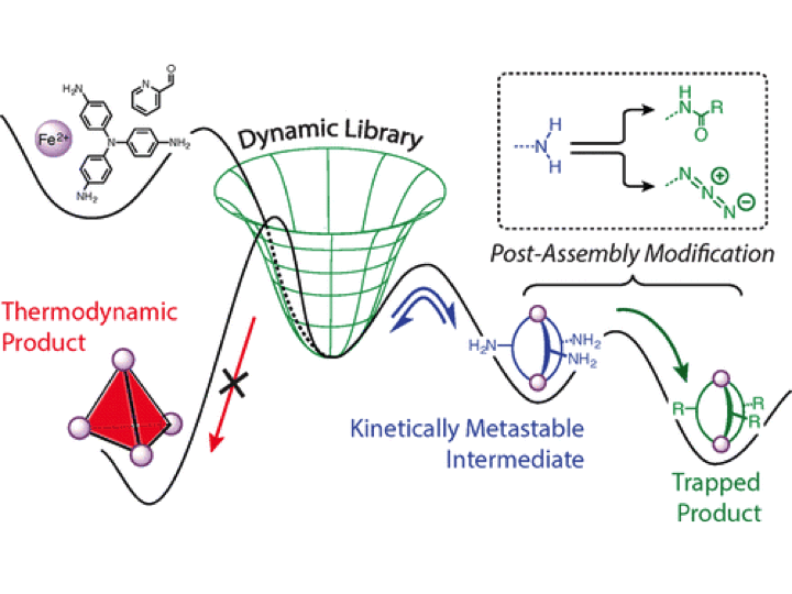 83. Post-assembly Modification of Kinetically Metastable FeII2L3 Triple Helicates