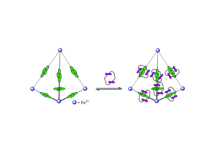 65. Generation of a Dynamic System of Three-Dimensional Tetrahedral Polycatenanes.