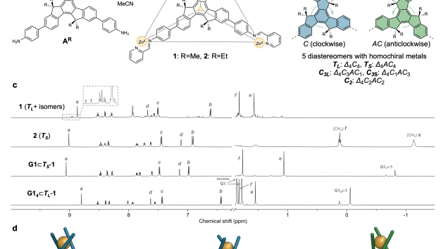 242. A Zn4L4 cage with guest-programmable stereochemistry