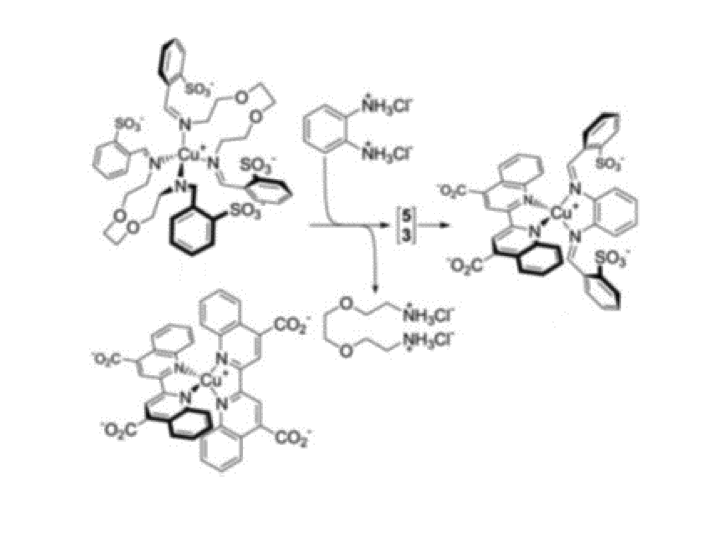 12. Dynamic covalent and supramolecular direction of the synthesis and reassembly of copper(I) complexes