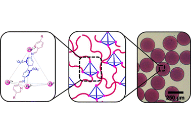 98. Differentially Addressable Cavities within Metal-Organic Cage-Cross-Linked Polymeric Hydrogels