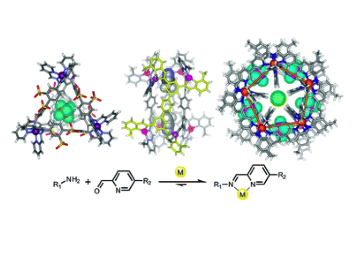 57. Metal-organic container molecules through subcomponent self-assembly