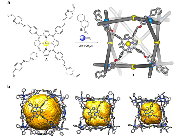 124. Sequence-selective encapsulation and protection of long peptides by a self-assembled FeII8L6 cubic cage