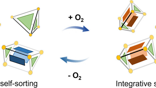 209. Hetero-Diels-Alder Reaction between Singlet Oxygen and Anthracene Drives Integrative Cage Self-Sorting