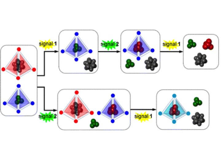 107. Sequence-Dependent Guest Release Triggered by Orthogonal Chemical Signals