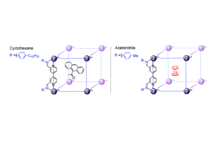 59. Solvent-Dependent Host-Guest Chemistry of an Fe8L12 Cubic Capsule