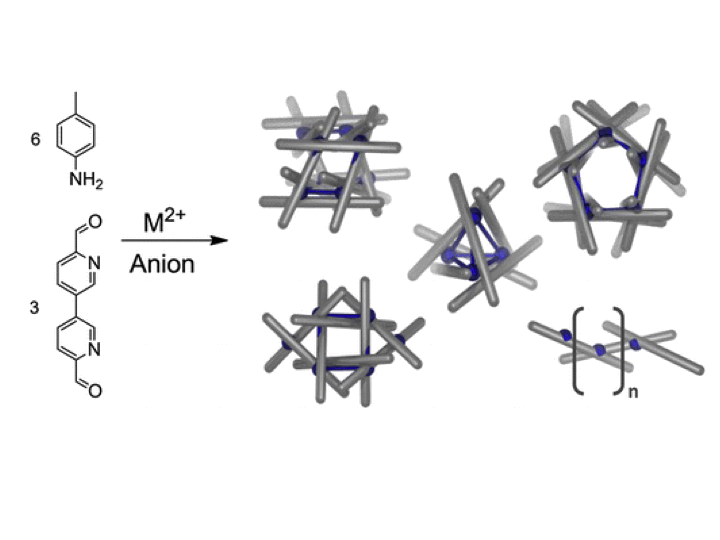 60. Five Discrete Multinuclear Metal-Organic Assemblies from One Ligand: Deciphering the Effects of Different Templates