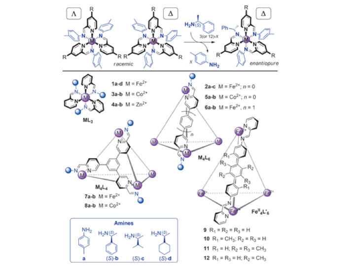 114. Quantification of Stereochemical Communication in Metal–Organic Assemblies