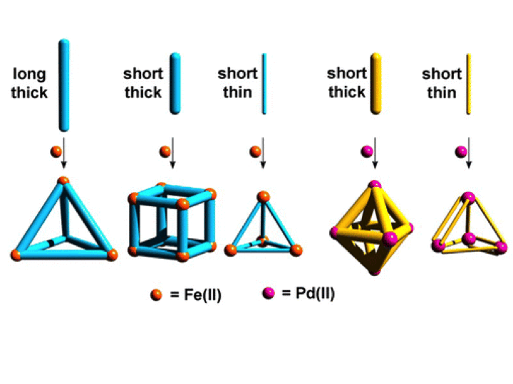 109. Ligand Aspect Ratio as a Decisive Factor for the Self-Assembly of Coordination Cages.