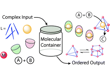 90. Molecular Containers in Complex Chemical Systems