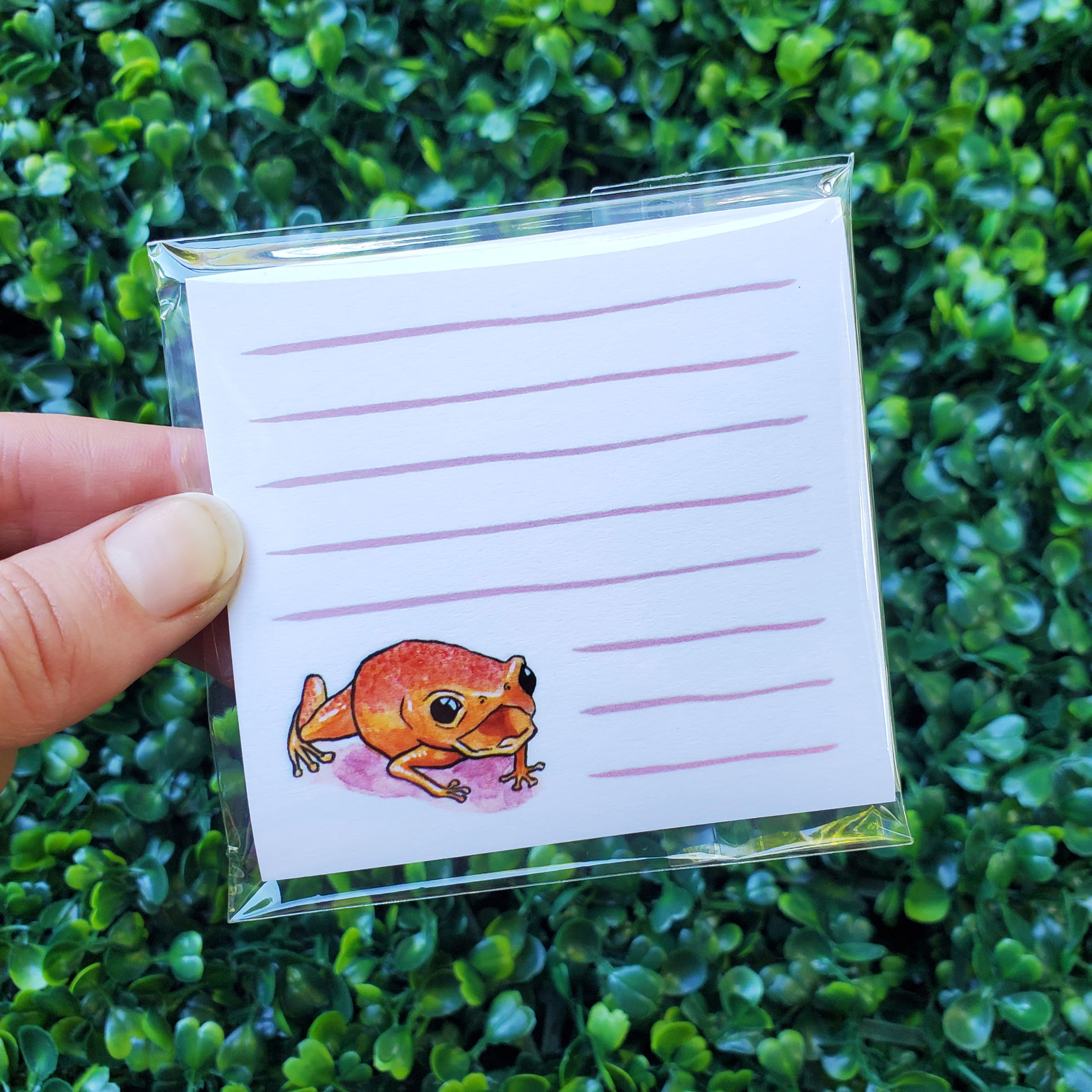 Pumpkin Toadlet Post-It Notes