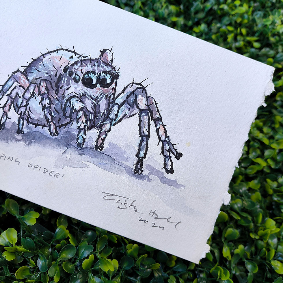 Thumbnail: Little Jumping Spider | Watercolor & Ink Painting