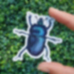 Thumbnail: Scarab Beetle | Holo Vinyl Sticker