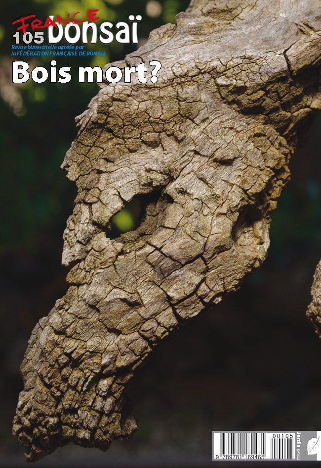 France Bonsaï le Bois Mort jardinpress