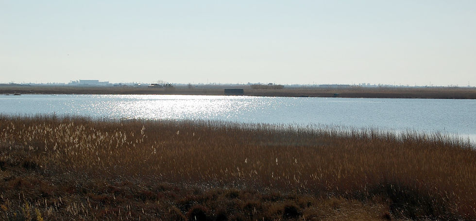 foto_delta6.jpg