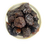 Thumbnail: Prunes