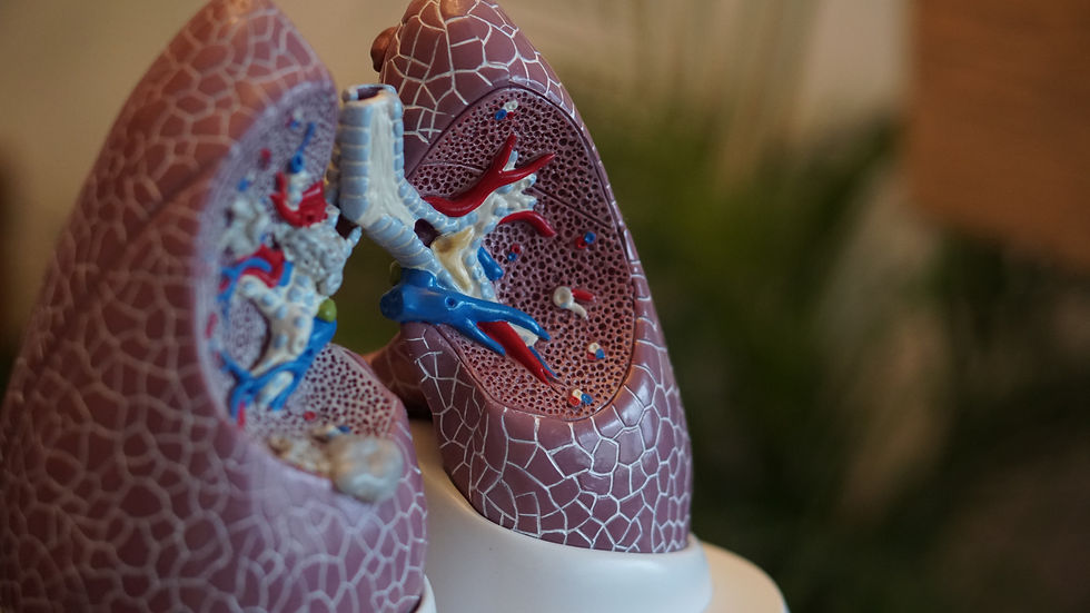 Respiration abdominale et profonde physiothérapie et ostéopathie