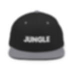 Thumbnail: Jungle Snapback Hat