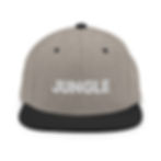 Thumbnail: Jungle Snapback Hat