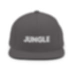 Thumbnail: Jungle Snapback Hat