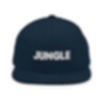 Thumbnail: Jungle Snapback Hat