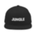 Thumbnail: Jungle Snapback Hat