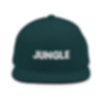 Thumbnail: Jungle Snapback Hat