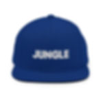 Thumbnail: Jungle Snapback Hat