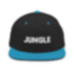 Thumbnail: Jungle Snapback Hat