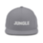 Thumbnail: Jungle Snapback Hat