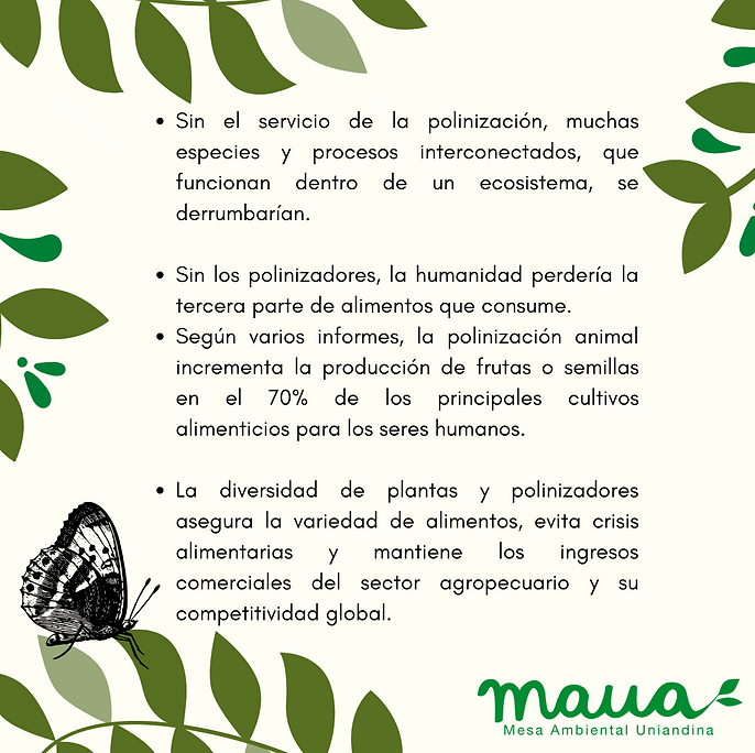 Importancia de polinizadores 2.png