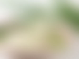 Masque Visage à l'Aloe Vera