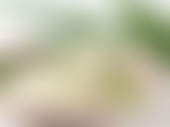 Masque Visage à l'Aloe Vera