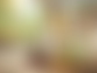 Huile de Lin : Précautions et Alternatives Saines