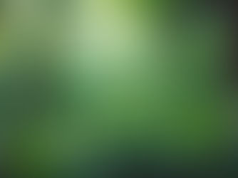 Desmodium : Dangers Potentiels et Alternatives Sûres