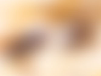 Piège à Mites Alimentaires