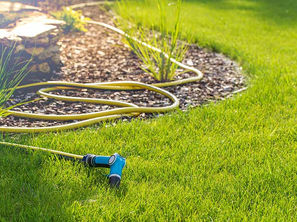 Support de Tuyau d'Arrosage