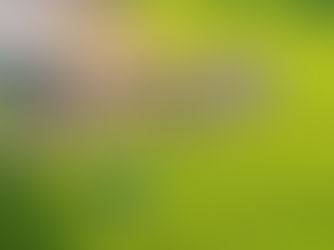 Support de Tuyau d'Arrosage