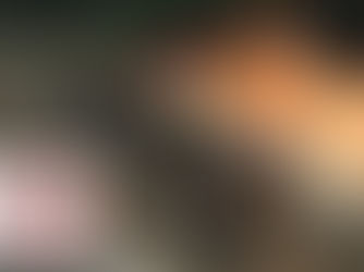 Bougies Anti-Moustiques