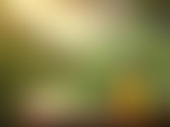 Huile Essentielle de Citronnelle : Un Remède Miracle ou un Danger Caché ?