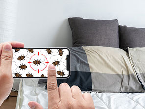 Répulsif contre les Punaises de Lit