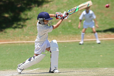 Boy playing cricket.jpg