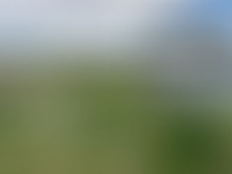 Leiðin: performatíf pílagrímsferð um Vatnsmýrina í Reykjavík